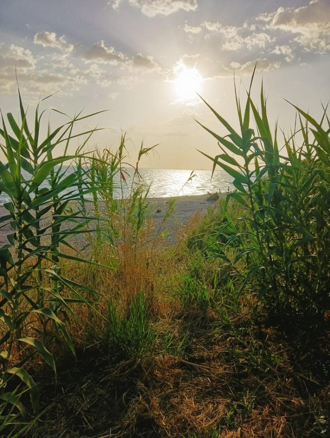 토리노 디 산그로 Azzurra 빌라 외부 사진